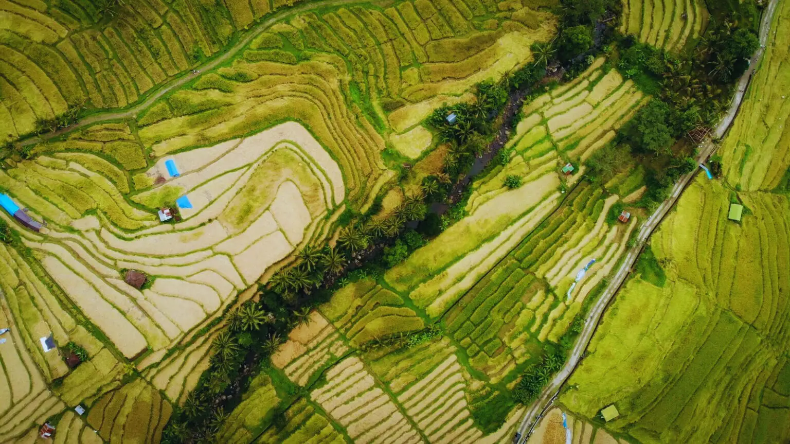 Bali Honeymoon Cost Breakdown (Flights, Villas, Drivers, Activities)